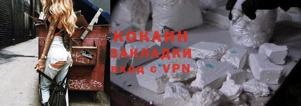 дмт Богородицк