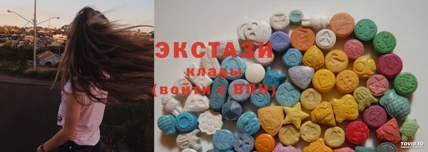 дмт Богородицк