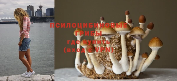 MDMA Богданович