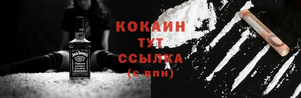 дмт Богородицк