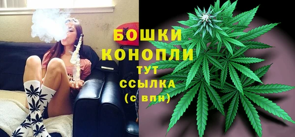 дмт Богородицк
