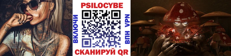 MEGA сайт  Вельск  Псилоцибиновые грибы Psilocybine cubensis  закладка 
